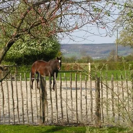 アパート Tolles In Bleyberg Mit Garten *